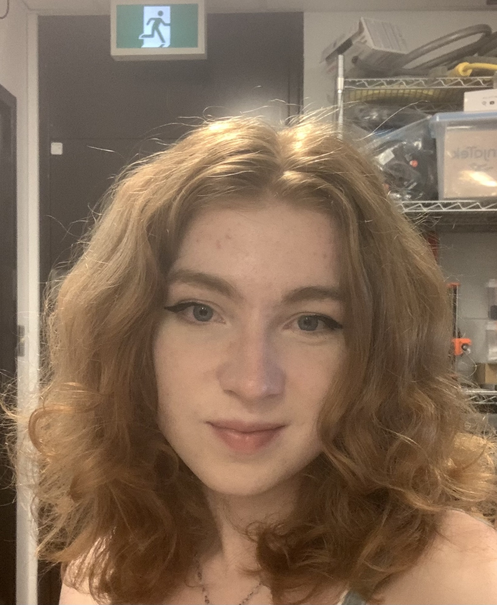 AmeliaRemnant